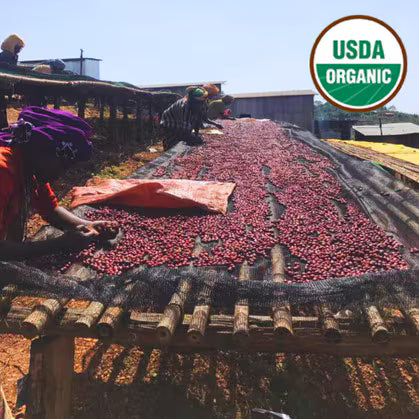 Organic Ethiopian - Natural Process
